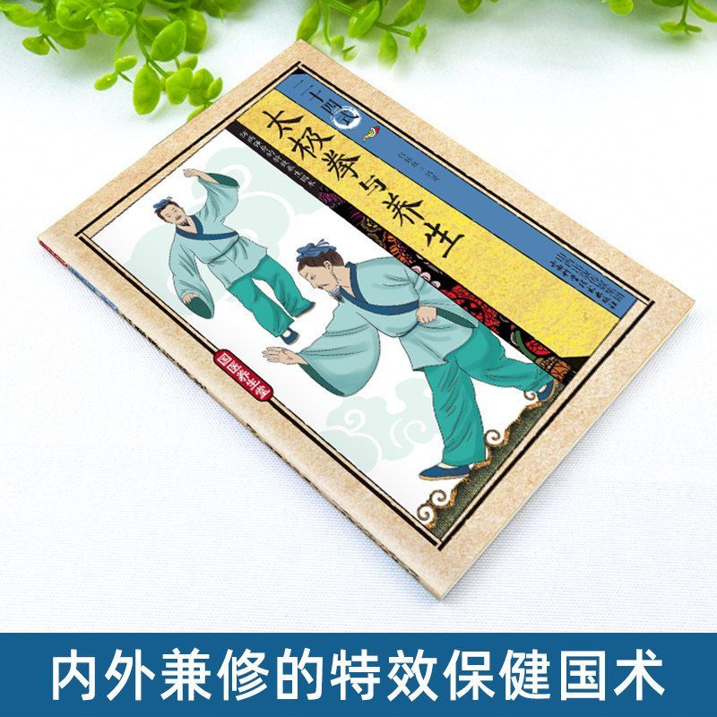 24 Style Tai Chi i ćwiczenia z – Health & Wellness For You recenzja i cena